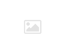 Bermuda in lino marrone plissettata con bottoni